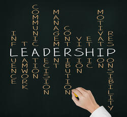 Leadership Lessons for Entrepreneurial CEO’s