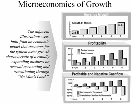 microeconomics of growth