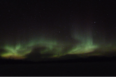 expert business advice